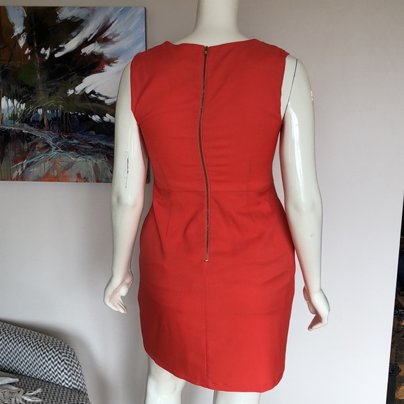 Pink Martini- Fit and Flare - Picture 6 of 12